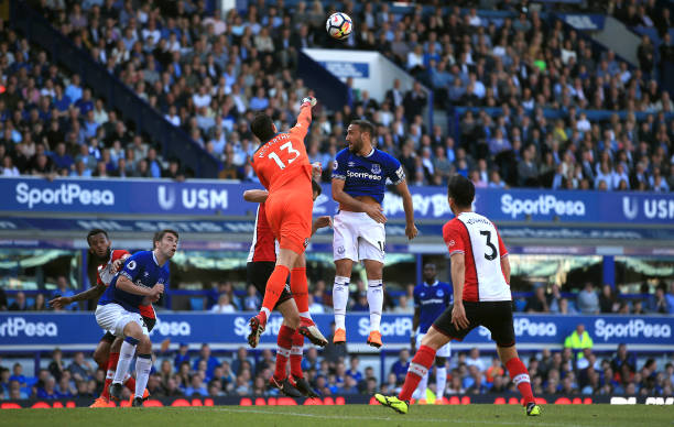 展示了运动 展示了运动